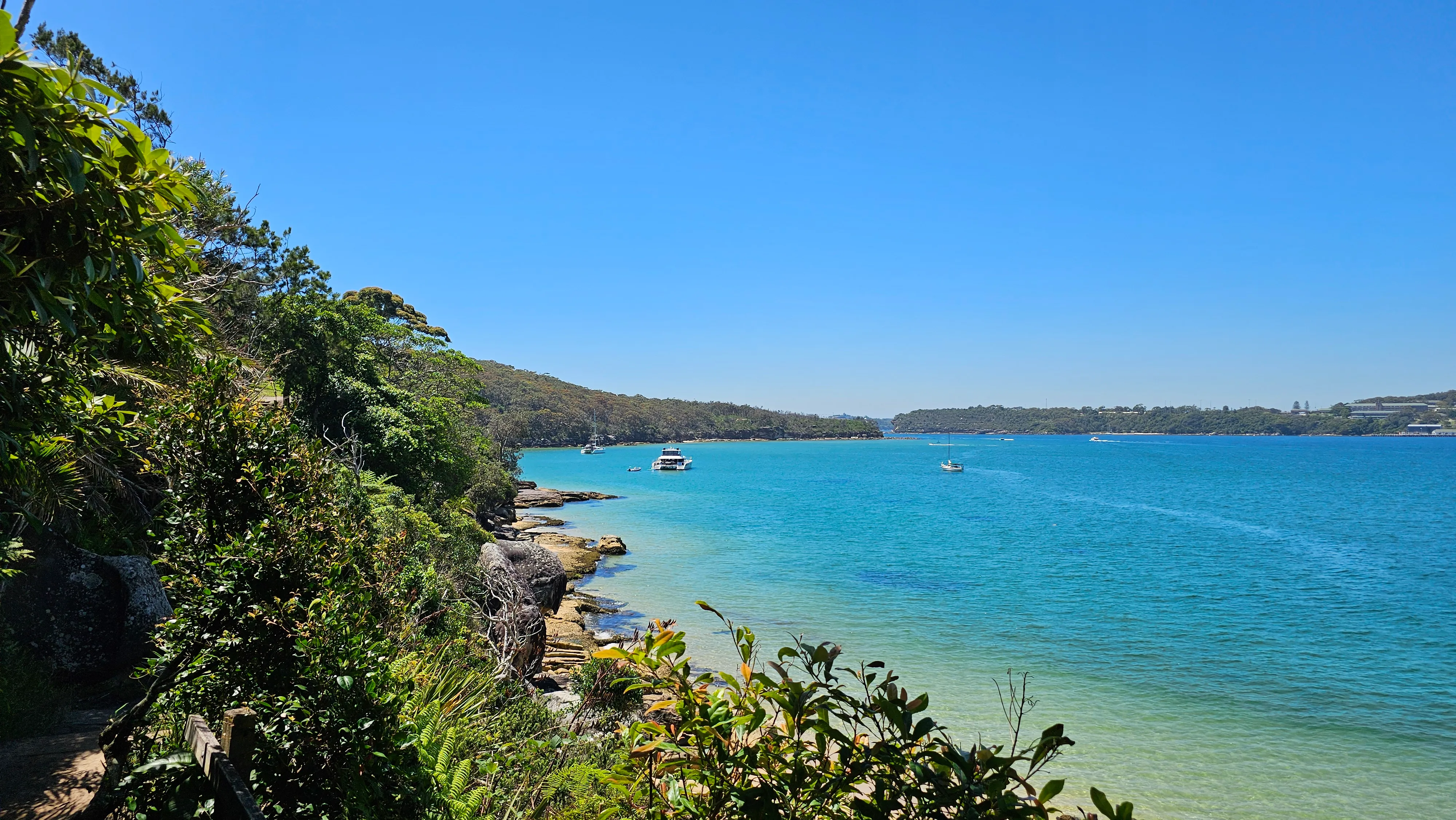 View over the harbour from the Spit to Manly trail.